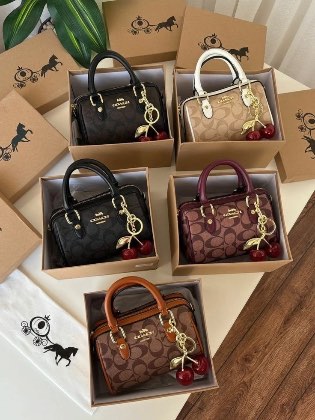 Bolsas coach😚
