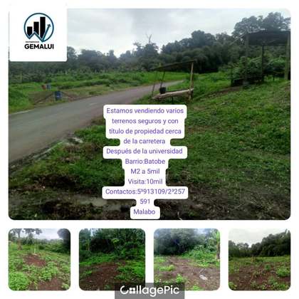 Terrenos después de la universidad de Basupu