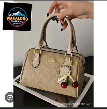 Bolsos coach