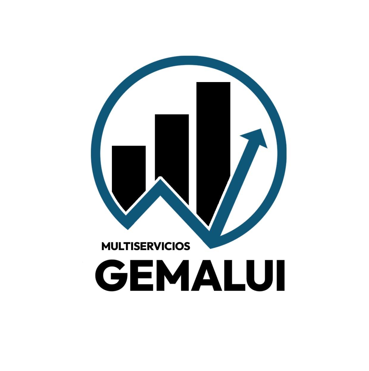Multiservicios GEMALUI